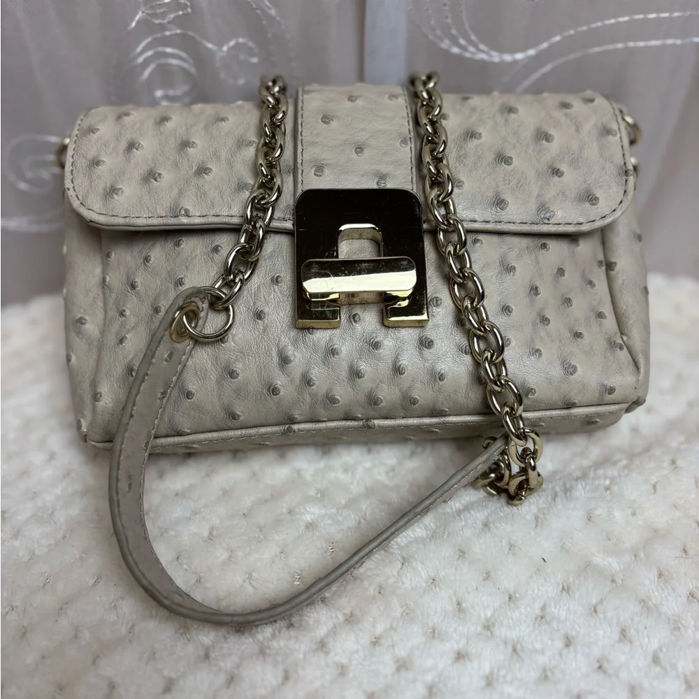 Chico’s Faux Ostrich Chain Crossbody Bag